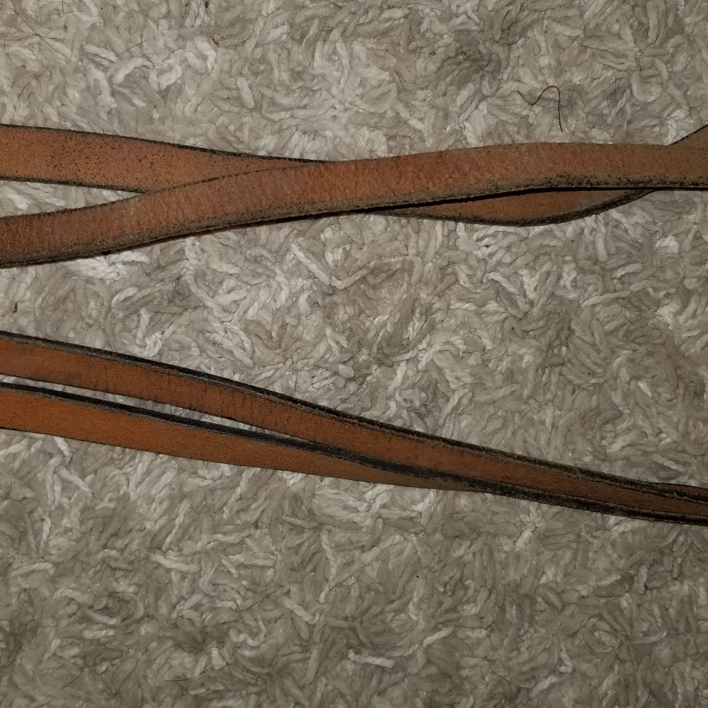 Reins - Picture 5 of 8